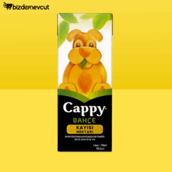 Cappy Kayısı Nektarı Karton Kutu 200 ML