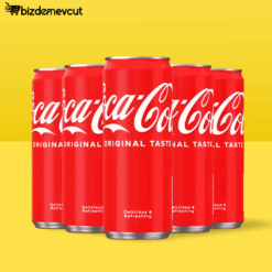 Coca-Cola Orijinal Tat Kutu 330 ML