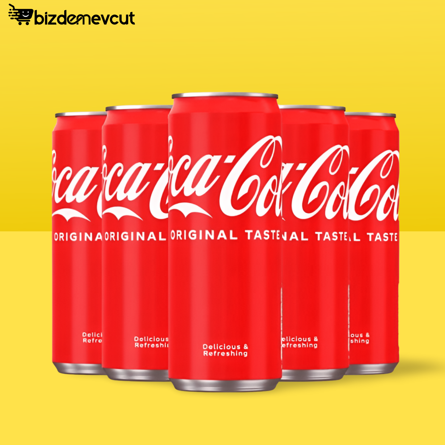 Coca-Cola Orijinal Tat Kutu 330 ML