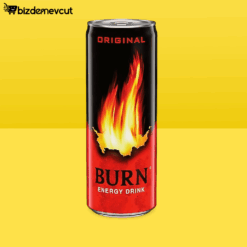 Burn Enerji İçeceği 250 Ml