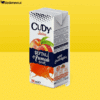 Cudy Şeftali Suyu 200 Ml