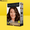 Sea Color Kit Sac Boyası 5.4 Açık Kestane