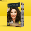 Sea Color Saç Boyası 3/4 Koyu Kestane