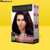 Sea Color Saç Boyası 3.66 Patlıcan Moru